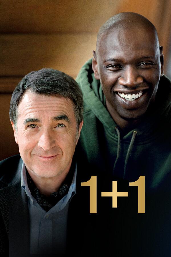 1+1 бесплатно